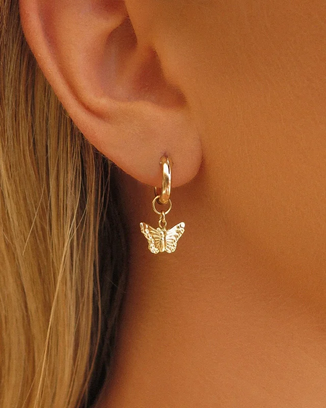 Women’s sparkling hoop earrings-Butterfly Thick Hoop Earrings  - 14k Yellow Gold Fill